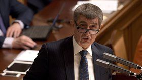 Vicepremiér Andrej Babiš ve Sněmovně