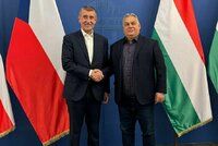 Babiš v Budapešti u přítele Orbána: Vrána k vráně sedá, rýpou europoslanci do expremiéra