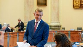 Andrej Babiš (ANO) na jednání vlády (červen 2026)
