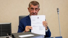 Andrej Babiš (ANO) na jednání vlády (15.6.2026)