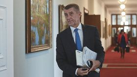 Andrej Babiš přichází na jednání vlády. (28. 1. 2019)