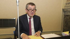 Premiér v demisi Andrej Babiš (ANO) plány Okamury odmítá.