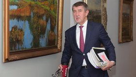 Andrej Babiš na středečním zasedání vládního kabinetu