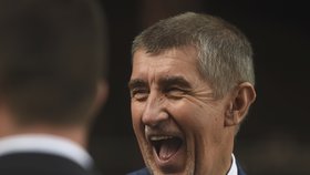 Premiér v demisi Andrej Babiš