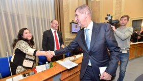 Andrej Babiš zdraví na vládě ministryni práce Jaroslavu Němcovou