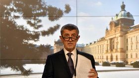 Andrej Babiš věří, že se mu díky programovému prohlášení vlády podaří nalézt podporu či toleranci pro vládu.