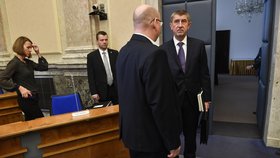 Zasedání vlády Andreje Babiše (ANO), na kterém kabinet projednával návrh programového prohlášení.