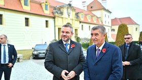 Andrej Babiš a jeho slovenský protějšek Peter Pellegrini vyvezli na svatého Martina své kabinety do Valtic (11.11.2019)