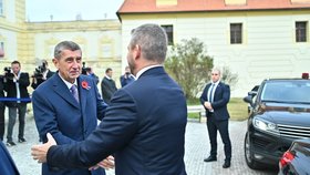 Andrej Babiš a Peter Pellegrini vyvezli své kabinety do Valtic