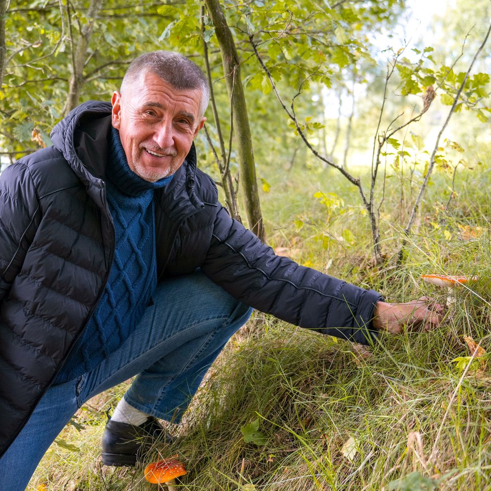 Prezidentské volby 2023: Andrej Babiš během kampaně.