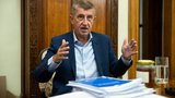 Premiér Babiš pro Blesk: S ODS o vládě nejednáme. Proč s ním syn stále nemluví?