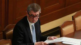 Andrej Babiš chce zmírnit povinnosti při podávání majetkových přiznání.