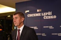 Poslanci ANO vytáhli do boje za šéfa: „Lex Babiš“ ženou k Ústavnímu soudu