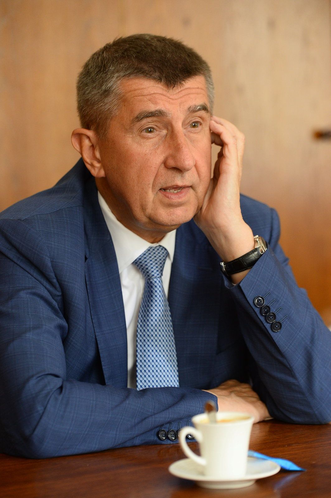 Ministr financí Andrej Babiš.