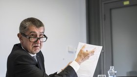 Andrej Babiš (ANO) navštíví se svojí vládou ještě před jejím jmenováním hrob Tomáše Garrique Masaryka.