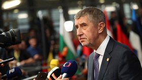 Premiér Andrej Babiš vytrvale odmítá, že by v případě jeho syna šlo o únos.