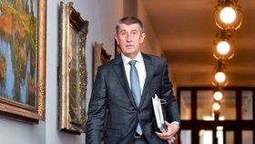 Premiér Andrej Babiš (ANO) loni označil Miroslava Kalouska (TOP 09) za lháře a alkoholika