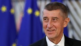 Premiér Andrej Babiš