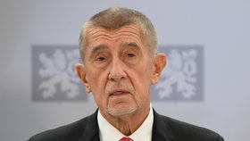 Premiér Andrej Babiš (ANO) před odletem na summit V4 (10.9.2026)