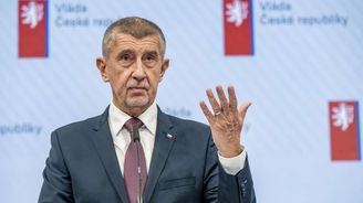 Babiš chce dát Turkovi šanci na ministerstvo. O nominaci bude ve středu jednat s Pavlem Babiš chce dát Turkovi šanci na ministerstvo. O nominaci bude ve středu jednat s Pavlem