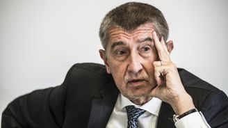 Babiš po pískotu na sletu: Sokolům jsem zařídil miliony navíc