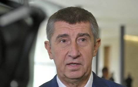 Miliardář Andrej Babiš si chrání majetek i soukromí s pomocí vlastní ochranky.