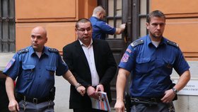 Eskorta přivádí Ukrajince Andreje Patskana ke krajskému soudu v Brně. Soudce ho poslal na 6 let do vězení kvůli pěstování marihuany, loupežné přepadení auta se ale podle soudu nepodařilo prokázat.