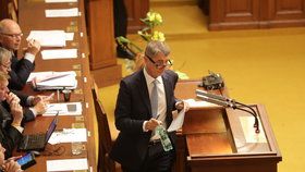 Andrej Babiš požádal Poslaneckou sněmovnu o zbavení imunity a vydání k trestnímu stíhání kvůli kauze Čapí hnízdo. 6. září 2017