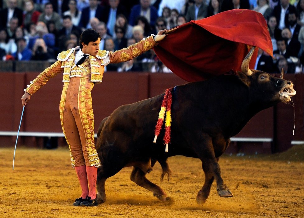 Andres Roca Rey bojuje s býky už od 17 let.