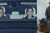 Princezny jely na vánoční hostinu ke králi: Andrew o samotě rajtoval koně...