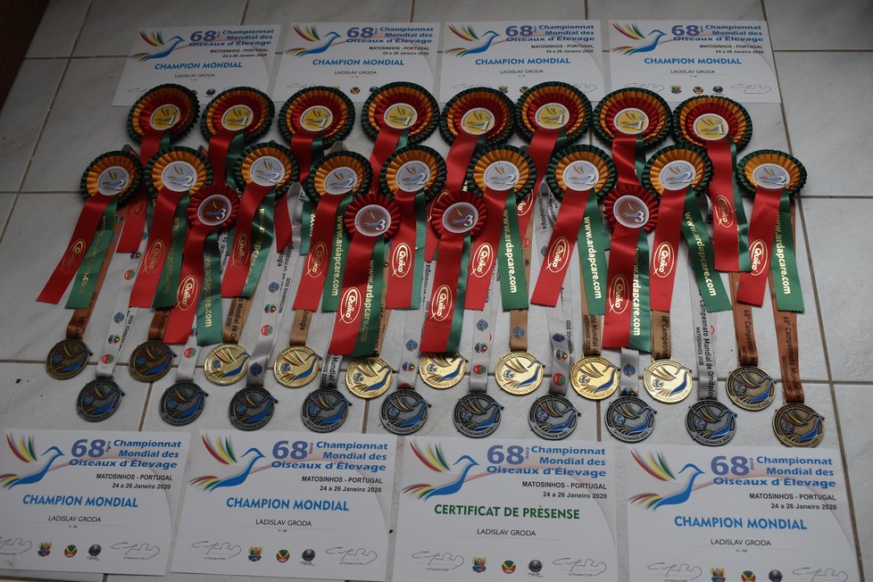 Nejnovější sada medailí z letošního ptačího šampionátu v Portugalsku.