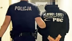 Sebastián byl umístěn do vazební cely.