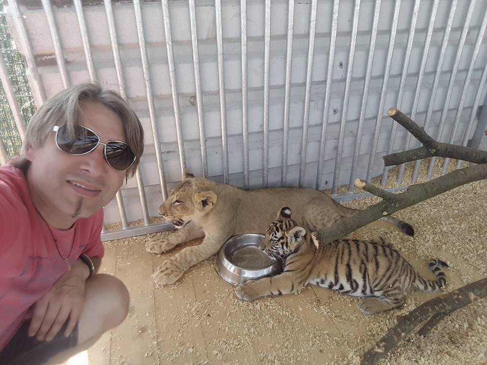 Pavel Plecháč s tygřím mládětem a lvíčetem
