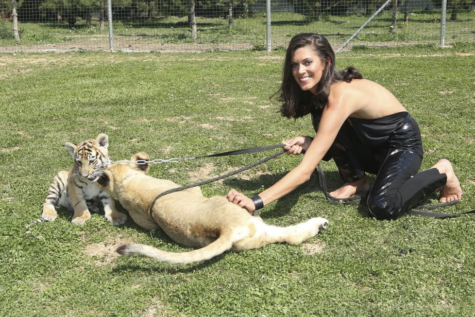 Aneta Vignerová a tygříkem a lvíčetem.