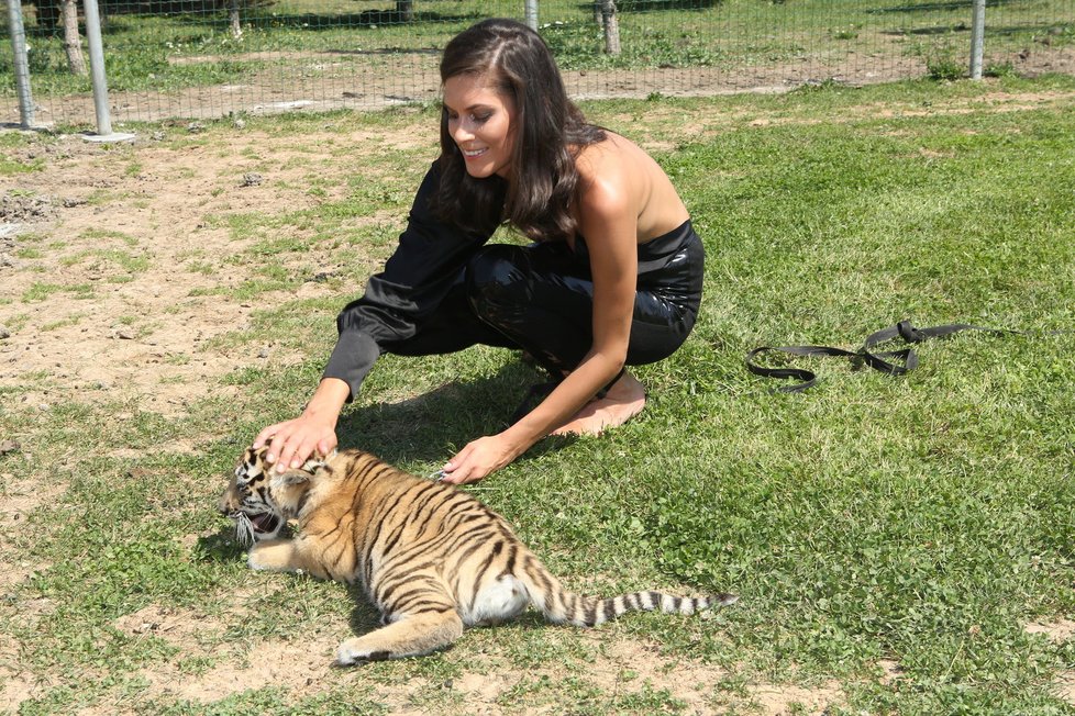 Aneta Vignerová s tygříkem a lvíčetem.