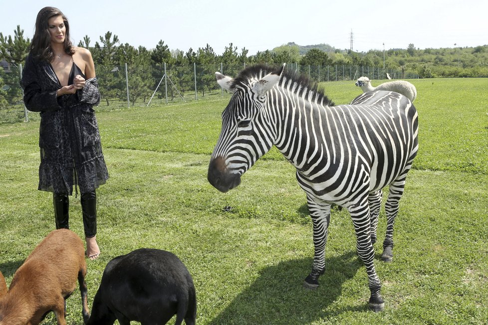 Aneta Vignerová se zebrou.