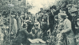 Místo činu v lese u Polné na Jihlavsku