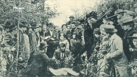 Místo činu v lese u Polné na Jihlavsku