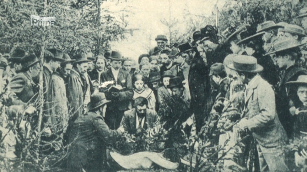 Místo činu v lese u Polné na Jihlavsku.