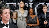 Drsný rozvod Angeliny Jolie: Obvinila Brada z domácího násilí! K soudu žene korunní svědky