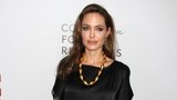 Angelina Jolie: Námět ke svému režisérskému debutu ukradla!