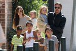 Brad Pitt se mohl konečně setkat se svými dětmi.