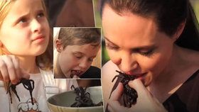 Angelina Jolie smaží dětem škorpiony a tarantule!