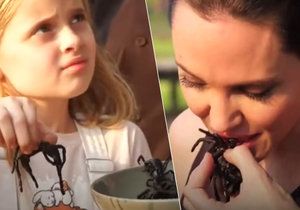 Angelina Jolie smaží dětem škorpiony a tarantule!