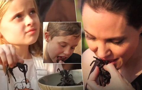Angelina Jolie krmí děti smaženými pavouky. Nejdřív utrhni kusadla, radí herečka