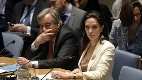 Vyslankyně Úřadu vysokého komisaře OSN pro uprchlíky (UNHCR) herečka Angelina Jolie