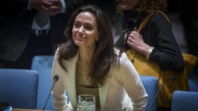 Vyslankyně Úřadu vysokého komisaře OSN pro uprchlíky (UNHCR) herečka Angelina Jolie