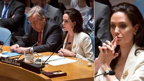 Hollywoodská hvězda Angelina Jolie členy Rady bezpečnosti OSN zkritizovala za neschopnost ukončit válku v Sýrii.