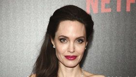 Angelina Jolie má prý nového chlapa!