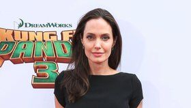 Nebezpečná mise Angeliny Jolie: Měla být návnadou pro vraha!